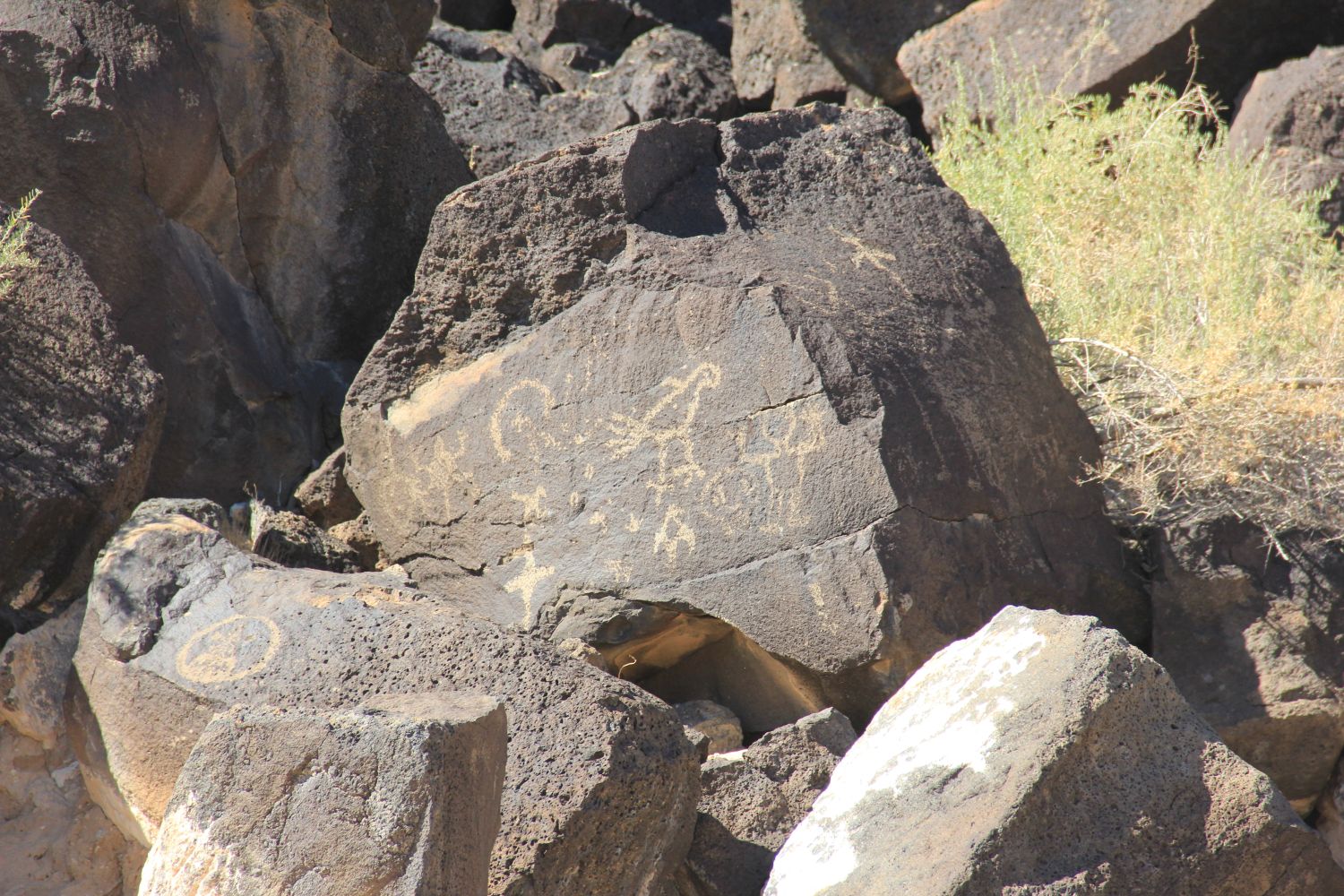 Petroglyph National Monument 